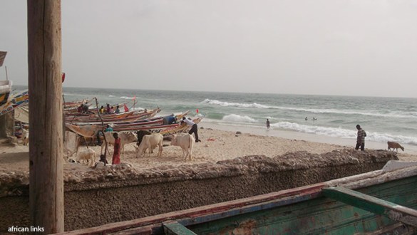 saint-louis_20_africanlinks