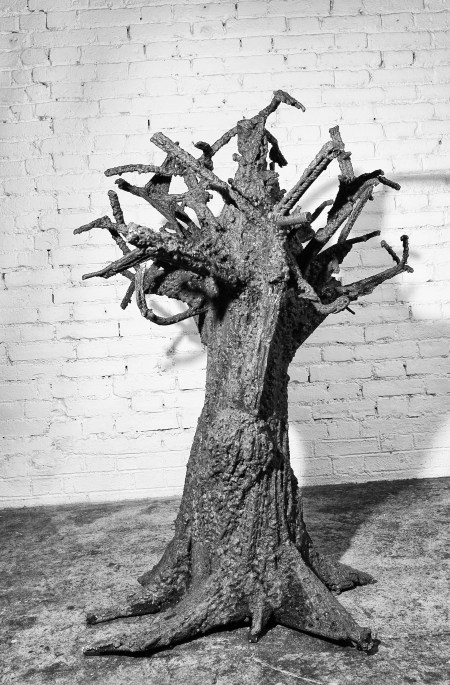 Arbres des origines 29 _1