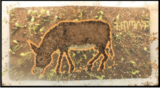 Capture d’écran 2015-10-20 à 23.33.10