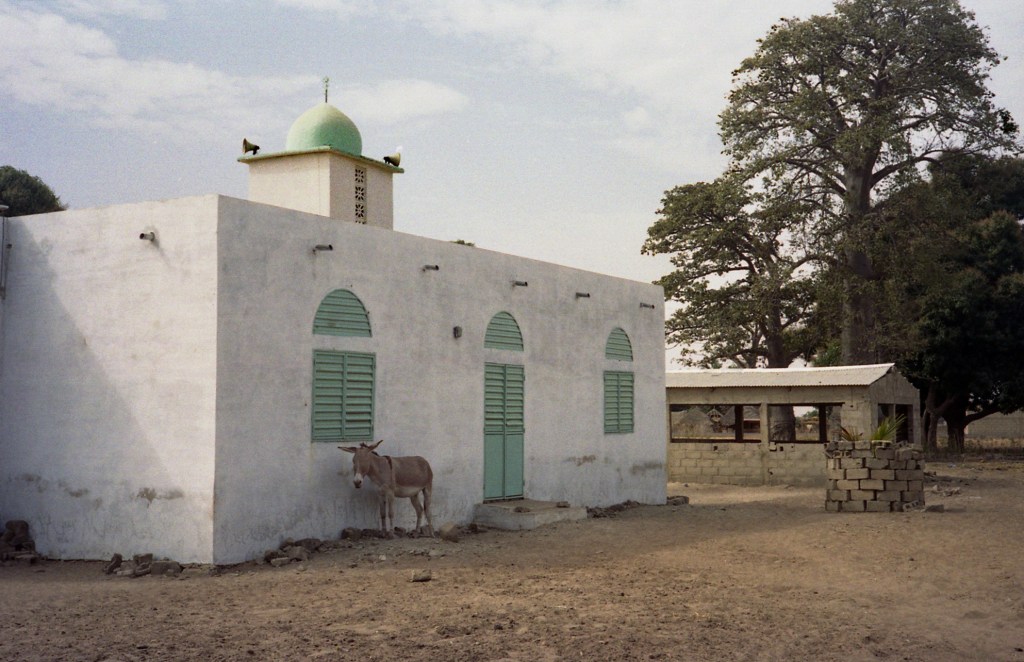 Fenêtre sur Guagué Cherif (Sénégal): 3 questions à la photographe Gabrielle&nbsp;Grenier